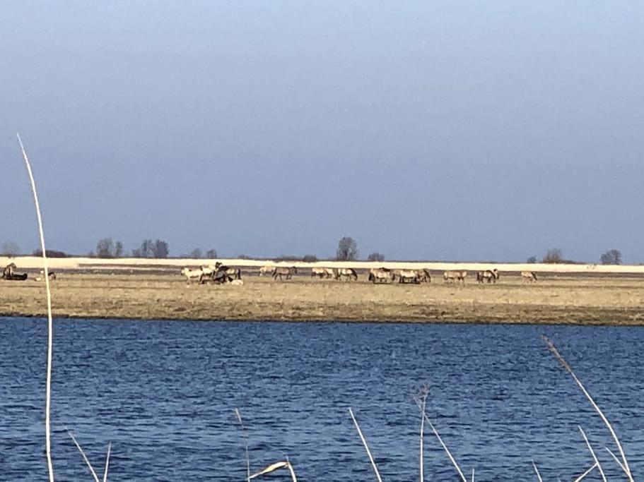 Prachtig Guesthouse Aan Het Water Almere Kültér fotó